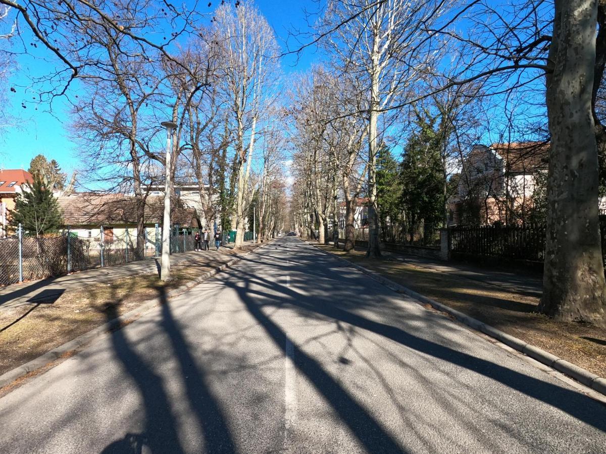 Gosztonyi Villa 시오포크 외부 사진